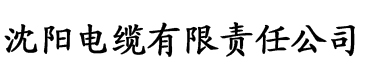 天天综合网永久入口孕妇红桃电缆厂logo